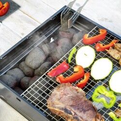 Barbecue Pieghevole Portatile a Carbone BearBQ InnovaGoods