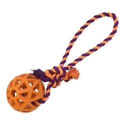 Dog chewing toy Gloria Grille Assorted colours (9 cm) (9 x 30 cm)