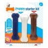 Giocattolo da mordere per cani Nylabone Extreme Chew Starter Kit Cuccioli Pollo Nylon Termoplastico (3 pcs)