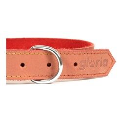 Collare per Cani Gloria Oasis Rosso (70 x 3 cm)