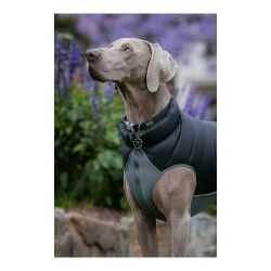 Cappotto per Cani Red Dingo Puffer Nero/Grigio 35 cm