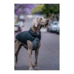 Cappotto per Cani Red Dingo Puffer Nero/Grigio 35 cm