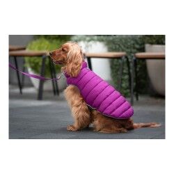 Dog Coat Red Dingo Puffer Pink/Purple 30 cm