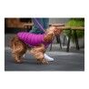 Dog Coat Red Dingo Puffer Pink/Purple 25 cm