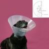 Elizabethan Dog Collar KVP Betsy Transparent (45-56 cm)