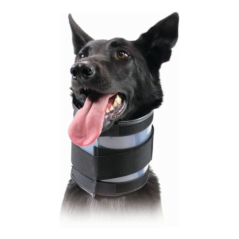 Collare Cervicale per Cani KVP Nero (20-64 cm)