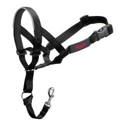 Collari da addestramento per cani Company of Animals Halti Nero Museruola (29-36 cm)