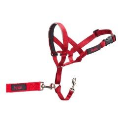 Collari da addestramento per cani Company of Animals Halti Museruola (40-54 cm)