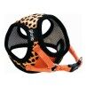 Imbracatura per Cani Gloria Leopardo 17-22 cm Arancio Taglia XS