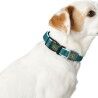 Collare per Cani Hunter Basic Filo Taglia M Antracite (33-50 cm)