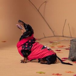 Cappotto per Cani Minnie Mouse Nero Rosso XXS