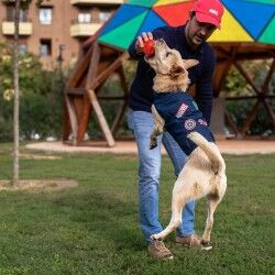 Giacca per cani Marvel Azzurro M