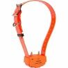 Dog Training Collars Num'Axes Orange