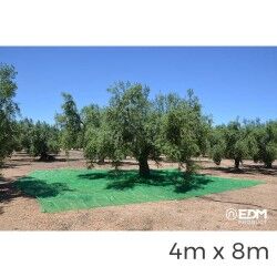 Rete EDM Raccoglitore di frutta Verde polipropilene 4 x 8 m