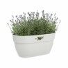 Plant pot Elho 3662603645100 White Plastic Rectangular Modern 24 x 36 x 26,5 cm