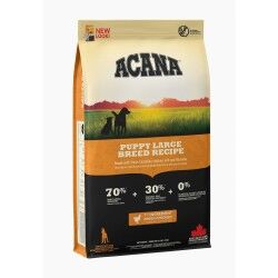 Fodder Acana Puppy Large Breed Recipe Kid/Junior Chicken 17 kg