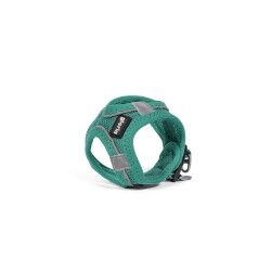 Imbracatura per Cani Gloria Trek Star 24-26 cm 28-28,6 cm Turchese XXS