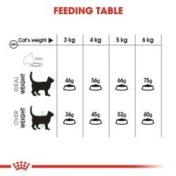 Cibo per gatti Royal Canin Oral Care Adulto 1,5 Kg