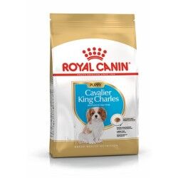 Fodder Royal Canin Cavalier King Charles Spaniel Puppy Kid/Junior Birds 1,5 Kg