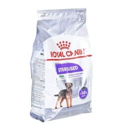 Fodder Royal Canin Mini Sterilised Adult Chicken 3 Kg