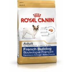 Fodder Royal Canin French Bulldog Adult Adult Pig 3 Kg