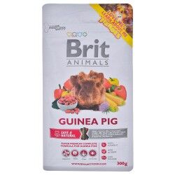 Fodder Brit Apple Corn Carrot Guinea pig Rabbit 300 g