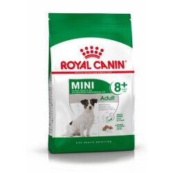 Fodder Royal Canin Mini Adult 8+ Adult Corn Birds 2 Kg