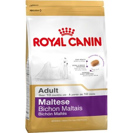 Fodder Royal Canin Maltese Adult Adult Chicken Corn Birds 1,5 Kg