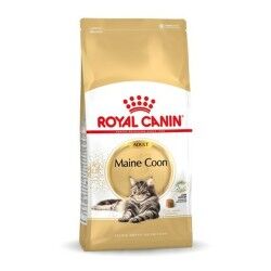 Cat food Royal Canin Maine Coon Adult + 1 year Adult Birds 10 kg