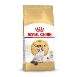 Cibo per gatti Royal Canin Ragdoll Adult Adulto 2 Kg