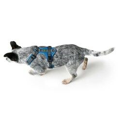 Dog Harness Hunter Maldon Up Blue 31-49 cm