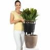 Self-watering flowerpot Lechuza Red Ø 49,5 x 46,5 cm Plastic