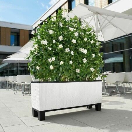 Vaso Lechuza 32 x 100 x 34 cm Bianco Plastica Rettangolare