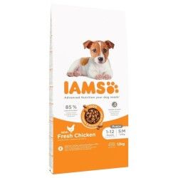 Fodder IAMS Vitality Puppy & Junior Small & Medium Chicken 12 kg