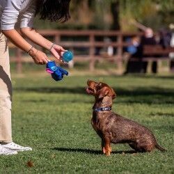 Giocattoli per cani Stitch Azzurro