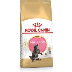 Cibo per gatti Royal Canin Maine coon Pollo Riso Uccelli 400 g