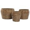 Set of Planters Home ESPRIT Natural Metal Fibre Tropical 32 x 32 x 25 cm