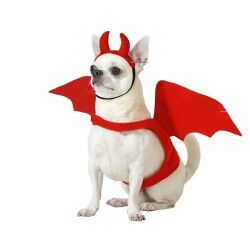 Dog Costume Male Demon Size S