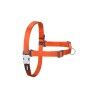 Imbracatura per Cani Red Dingo 84-119 cm Arancio XL