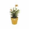 Plant pot Elho Ocre Ø 30 cm