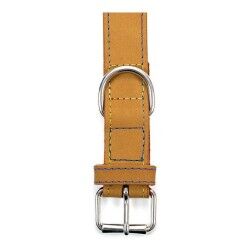 Dog collar Gloria Oasis Yellow (55 x 2,5 cm)