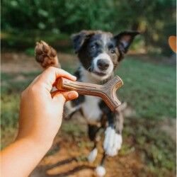 Giocattolo da mordere per cani Benebone Marrone animali