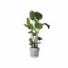 Plant pot Elho Grey Plastic Circular Modern Ø 47 cm