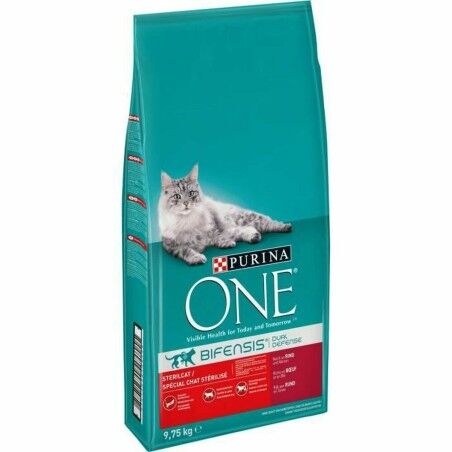 Cat food Purina