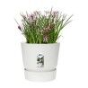 Vaso Elho Greenville Rotonda Bianco Plastica (Ø 29,5 x 27,8 cm)