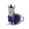 Costume per Cane Strega Taglia L