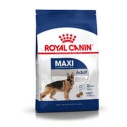 Fodder Royal Canin Maxi Adult 15 kg Adult