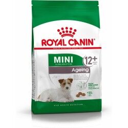 mangime Royal Canin Mini Ageing 12+ Adulto Anziano Uccelli 3,5 g