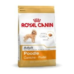 mangime Royal Canin Poodle Adult Adulto Pollo 1,5 Kg