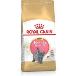 Cibo per gatti Royal Canin British Shorthair Kitten Pollo Riso Vegetale Uccelli 2 Kg